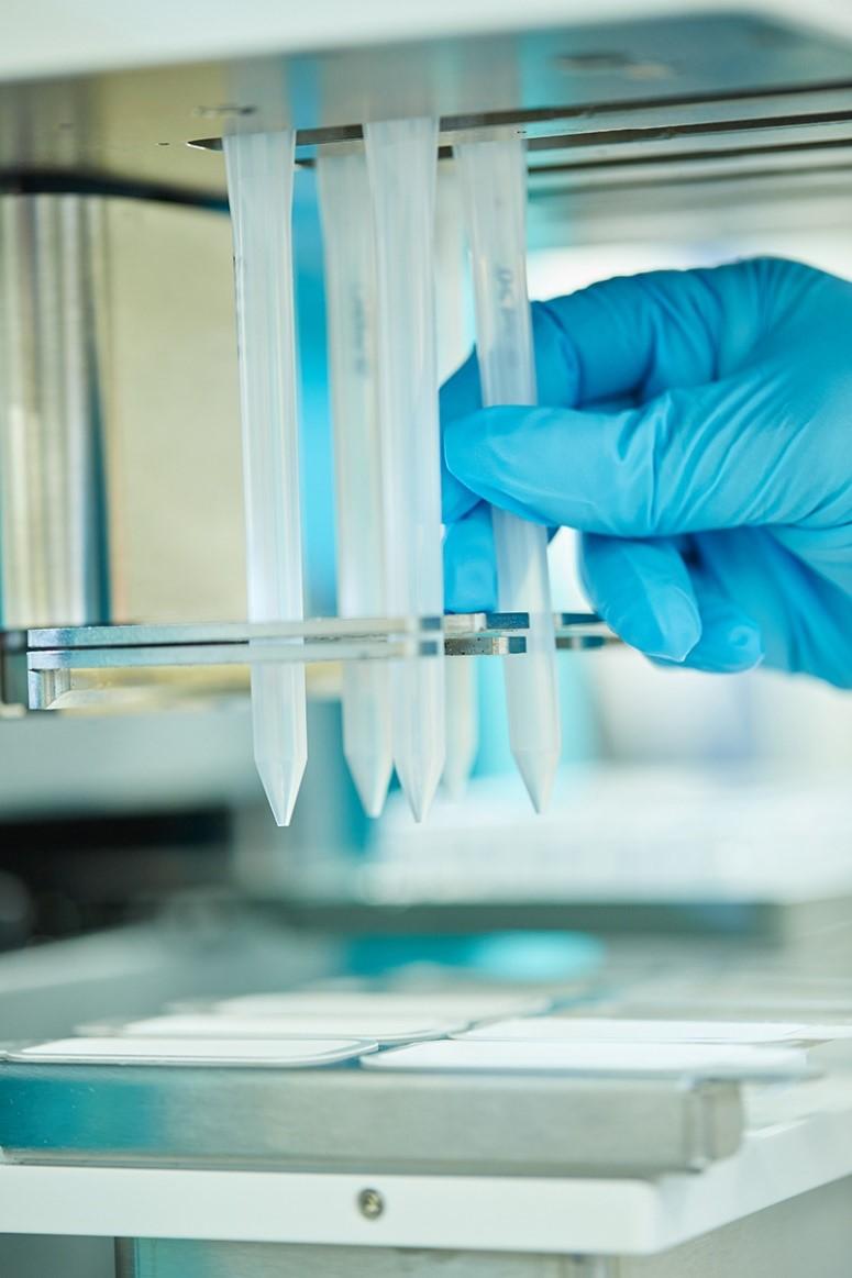 Assay Development Bespoke Assay Design Domainex